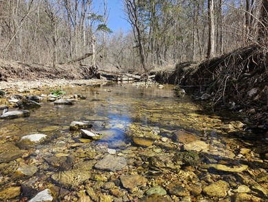 Premier Buffalo National River Area legacy hunting, recreational - photo 13