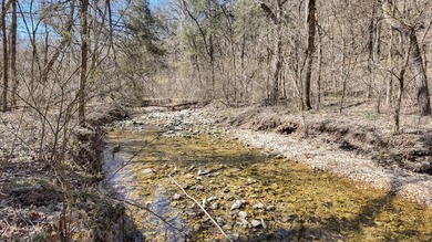 Premier Buffalo National River Area legacy hunting, recreational - photo 15