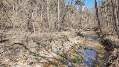 Premier Buffalo National River Area legacy hunting, recreational - photo 17