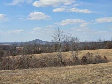 Premier Buffalo National River Area legacy hunting, recreational - photo 21