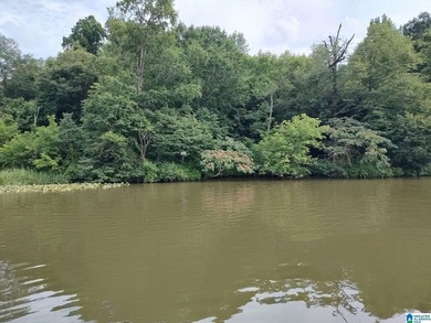 Deeded waterfront land, Oak Grove Schools! Wooded lot with - photo 3