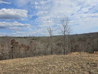 Premier Buffalo National River Area legacy hunting, recreational - photo 23