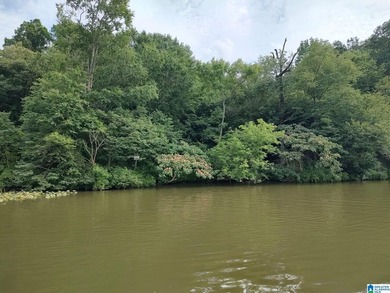 Deeded waterfront land, Oak Grove Schools! Wooded lot with - photo 4