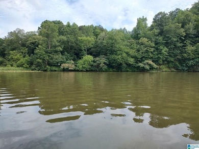 Deeded waterfront land, Oak Grove Schools! Wooded lot with - photo 5
