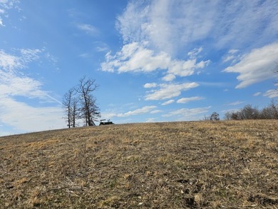 Premier Buffalo National River Area legacy hunting, recreational - photo 26