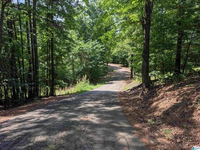 Deeded waterfront land, Oak Grove Schools! Wooded lot with - photo 8