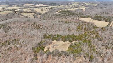 Premier Buffalo National River Area legacy hunting, recreational - photo 28