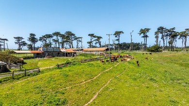 The 277-acre D&H Stornetta Ranch in Point Arena stands as a rare - photo 28