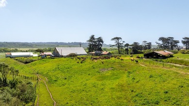 The 277-acre D&H Stornetta Ranch in Point Arena stands as a rare - photo 35