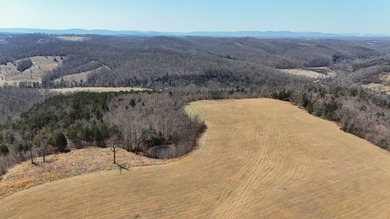 Premier Buffalo National River Area legacy hunting, recreational - photo 37