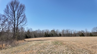 Premier Buffalo National River Area legacy hunting, recreational - photo 40