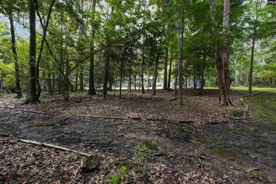 Now Priced $10,000 Below Appraised Value - Instant Equity in the - photo 41