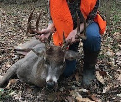 Premier Buffalo National River Area legacy hunting, recreational - photo 43