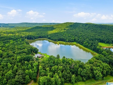 PRIVATE LAKEFRONT ESTATE on 77+/- gated & fenced acres! Rarely - photo 7