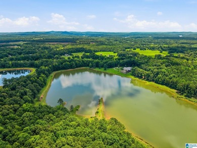 PRIVATE LAKEFRONT ESTATE on 77+/- gated & fenced acres! Rarely - photo 9