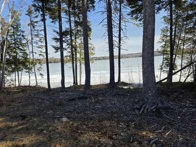 This property includes 2 surveyed lots with a new 3 bedroom - photo 2