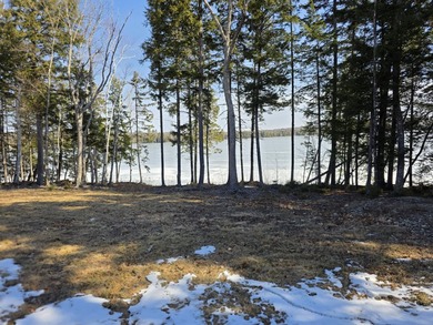 This property includes 2 surveyed lots with a new 3 bedroom - photo 3