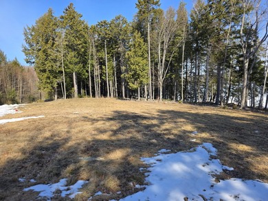 This property includes 2 surveyed lots with a new 3 bedroom - photo 4