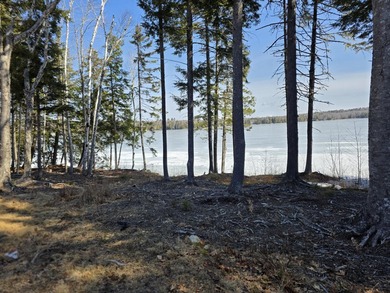 This property includes 2 surveyed lots with a new 3 bedroom - photo 5