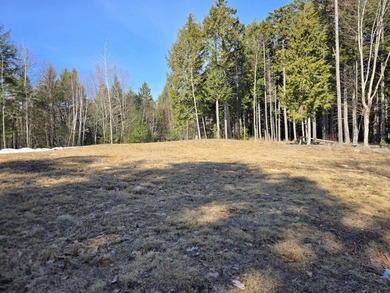 This property includes 2 surveyed lots with a new 3 bedroom - photo 6