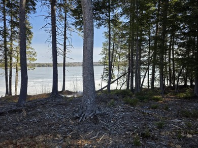 This property includes 2 surveyed lots with a new 3 bedroom - photo 9