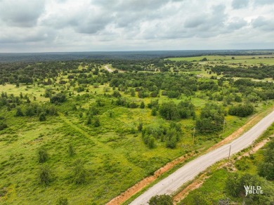 Lake Acreage For Sale in Santo, Texas