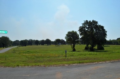 Beautiful sunsets and open water views from this corner lot - photo 21