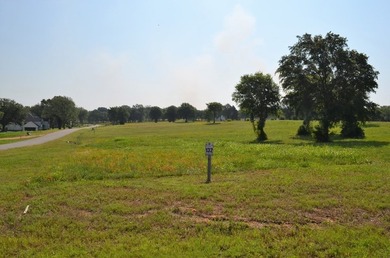 Beautiful sunsets and open water views from this corner lot - photo 22