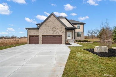 Lake Saint Clair Home For Sale in Chesterfield Michigan