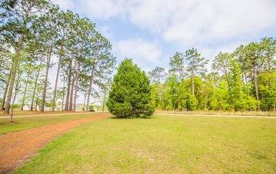 This is the custom home you've been looking for at Lake - photo 43