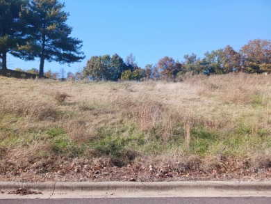 Lake Lot For Sale in Hollister, Missouri