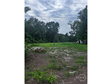2 Acre Lot with tons of potential. Partially Cleared, buildable - photo 2