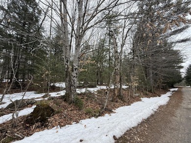 Bring your building plans for this beautiful wooded lot! - photo 1