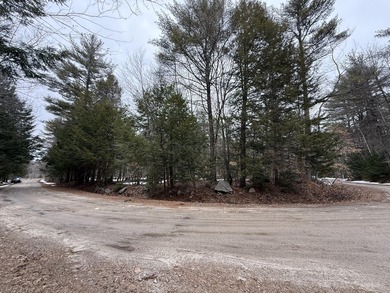 Bring your building plans for this beautiful wooded lot! - photo 2