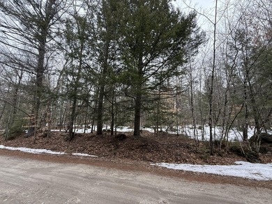Bring your building plans for this beautiful wooded lot! - photo 3