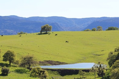 The 9,353.45-acre Buckeye Creek Ranch is a world-class - photo 7