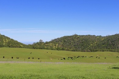 The 9,353.45-acre Buckeye Creek Ranch is a world-class - photo 9