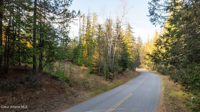 Lake Lot For Sale in Sagle, Idaho