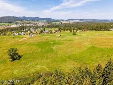 Set just outside of Plummer, this scenic 5-acre parcel offers a - photo 11