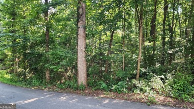 Lake Lot For Sale in Cumming, Georgia