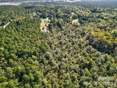 110 Hewett-Burton Rd SE Leland NC Build your dream home or - photo 13