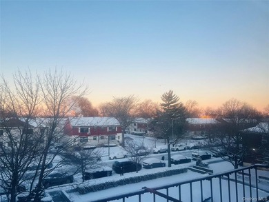 Beautiful Top-Floor Garden Apartment in Prime Kew Garden Hills - photo 18