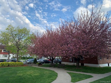 Beautiful Top-Floor Garden Apartment in Prime Kew Garden Hills - photo 19