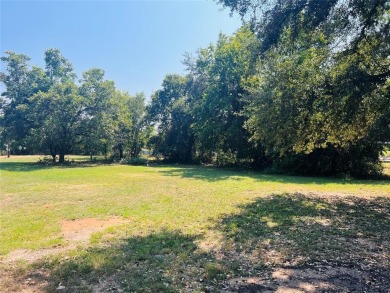 Lake Granbury Lot For Sale in Granbury Texas