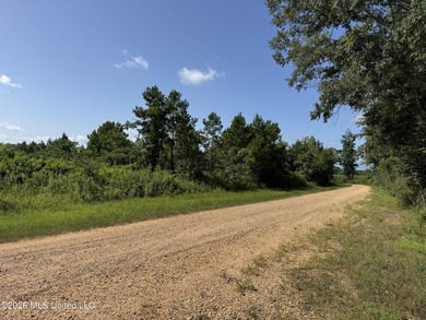 80+/- Acres - Topisaw Creek Recreational Tract, Southwest - photo 1