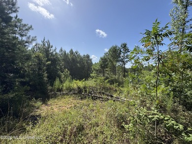 80+/- Acres - Topisaw Creek Recreational Tract, Southwest - photo 10