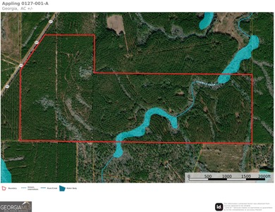 (private lake, pond, creek) Acreage For Sale in Surrency Georgia
