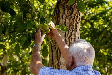 Situated amidst walnut orchards and along the scenic Sacramento - photo 2