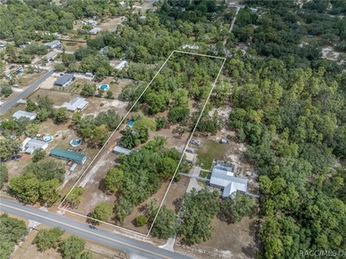 Discover the serene charm of country living in Homosassa with - photo 4