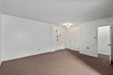 Spacious Studio in the Heart of Forest Hills, Queens Discover - photo 6